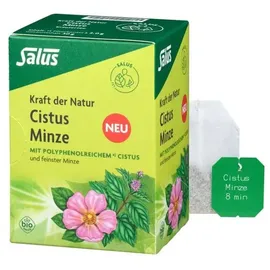 SALUS Cistus Minze Kräutertee bio Salus