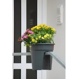 KHW Flowerclip Ø 27 x 27,5 cm anthrazit 3 Stück