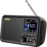 Leicke tragbares DAB+ Radio mit Bluetooth 5.0 | 4000mAh Akku, 80 Voreinstellungen, Küchenradio mit Adapter oder Akkubetrieb, MicroSD/TF/AUX Anschluss