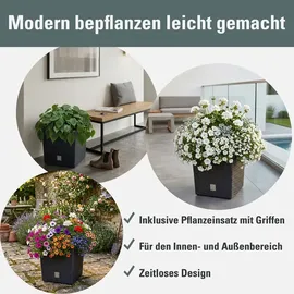 Prosperplast Rato Low 40 x 40 x 40,8 cm anthrazit