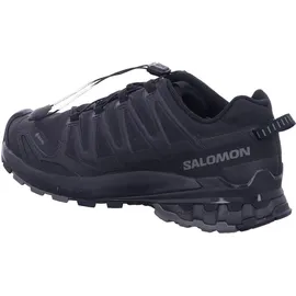 Salomon X Ultra 360 GTX Herren Black / Magnet / Quiet Shade 46 2/3