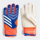 adidas Predator Match Torwarthandschuhe Lucid Blue / Solar Red / White 9
