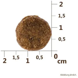 CARNILOVE Reindeer Adult 1,5 kg