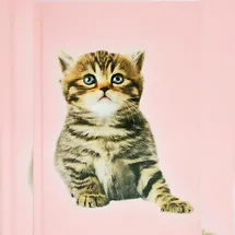 Adina Notizbuch A5 blanko Katze