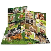 Herma Organisationsmappe Herma Sammelmappe Eckspanner Karton A3 Nagetiere