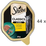 Sheba Classics in PasteGeflügel Cocktail Nassfutter 44 x 85 g