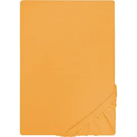 biberna Spannbettlaken Jersey 180 x 200 - 200 x 200 cm gelb