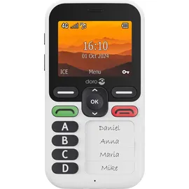 Doro Leva X10 Schwarz/weiß