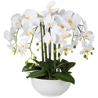 Kunstorchidee Kunstpflanze Orchidee Phalenopsis 54 cm, weiß in Keramik-Schale Orchidee, Creativ green, Höhe 54 cm weiß