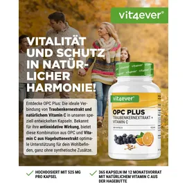 Vit4ever OPC Traubenkernextrakt + Vitamin C Kapseln 365 St.