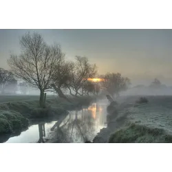 Fototapete PAPERMOON "Nebel Landschaft", bunt, B:2,50m L:1,86m, Vlies, Tapeten