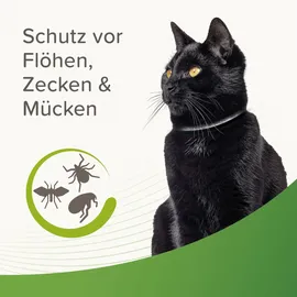 beaphar Zecken- und Flohschutz Halsband für Katzen reflektierend 35 cm