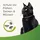beaphar Zecken- und Flohschutz Halsband für Katzen reflektierend 35 cm