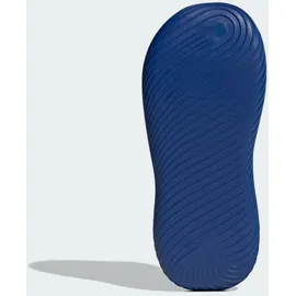 adidas Purechill Royal Blue/Cloud White 39