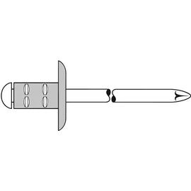 Gesipa Blindniet PolyGrip 4,8 x 17 mm 25 Stück