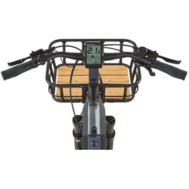 Prophete Urbanicer 4.0 Urban E-Bike 20"/24"