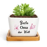 Muttertagsgeschenk Für Oma Blumentopf Beste Oma Geschenk Geburtstag Oma Geschenke Für Oma Ostergeschenk Oma Sinnvolle Valentinstagsgeschenk