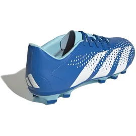 adidas Predator Accuracy.4 FG Herren Bright Royal/FTWR White 42 2/3