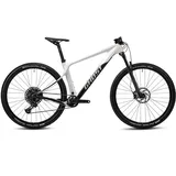 Ghost Mountainbike »Lector SF LC«, 12 Gang, SRAM, SX Eagle Schaltwerk, Kettenschaltung, für Damen und Herren, Kettenschaltung, 45965059-44 hellgrau-schwarz 29 Zoll (73,66cm), grau 44 cm)