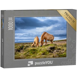 puzzleYOU Puzzle Puzzle 1000 Teile XXL „Island-Pferde auf dem Westfjord in Island“, 1000 Puzzleteile, puzzleYOU-Kollektionen Pferde, Islandpferde