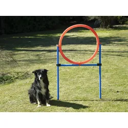 Sprungring für große Hunde, Agility-Set, Hundetraining