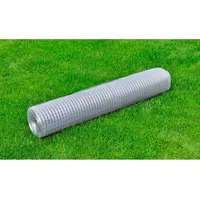 VidaXL Maschendraht Verzinkter Stahl 25x1 m Silbern