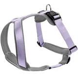 Hunter Neopren Hundegeschirr lavendel/grau S