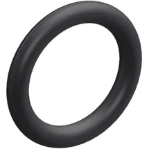 Mercedes-Benz Dichtring
