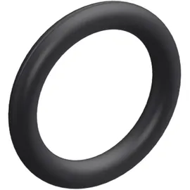 Mercedes-Benz Dichtring