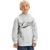 DC Shoes Substitute Grey 146