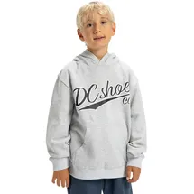 DC Shoes Substitute Grey 146