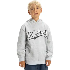 DC Shoes Substitute Grey 146