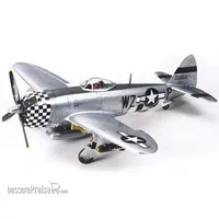 TAMIYA 1:48 US Rep. P-47D Thunderbolt Bubblet