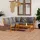 vidaXL Garten-Lounge-Set 4-tlg. grau