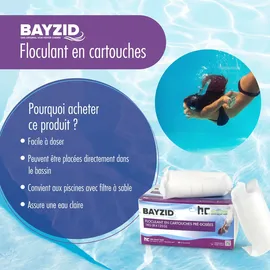 Bayzid 8x 1 kg Flockkartusche für Pools