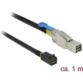 DeLock 83618 - m.SAS HD SFF8644>m.SAS HD SFF8643 1m