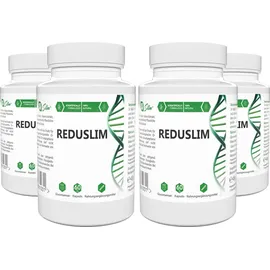 Reduslim Kapseln 240 St.