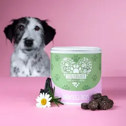 Tierliebhaber Darmpflege Drops