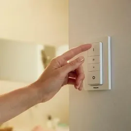 Philips Hue White Ambiance Still 22,5 W aluminium