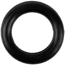 O-Ring für Regelventil