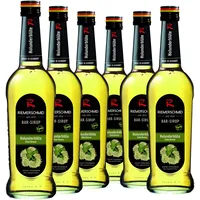 6 × Riemerschmid Bar-Sirup Holunderblüten Geschmack 0,7L