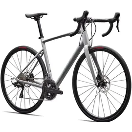 Specialized Allez Comp Grau Modell 2026 - 56 CM