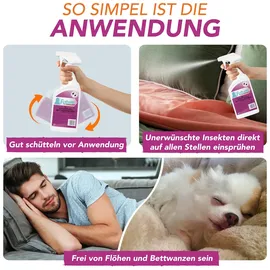 Futum Insektenvernichter Spray 5 l