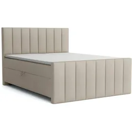 Deine Möbel 24 Boxbett, Beige, Textil, H4, 160x200 cm, Schlafzimmer, Betten, Boxspringbetten