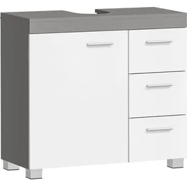 VASAGLE Waschbeckenunterschrank 2 Fächer hinter der Tür