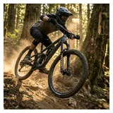 RockShox Federgabel Domain Gold Isolator RC3 Schwarz