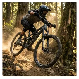 RockShox Federgabel Domain Gold Isolator RC3 Schwarz