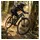 RockShox Federgabel Domain Gold Isolator RC3 Schwarz