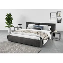 Polsterbett INOSIGN "Adrina mit Biesenoptik, Feincord und Luxus-Microfaser", grau (anthrazit), B:202cm H:91cm L:230cm, 95% Polyester;5% Nylon, Betten, bis 280kg, auch in Überlänge 220 cm, 4 Breiten bis 200cm