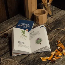 Magic Garden Seeds Magische Zeit Bio-Saatgut-Adventskalender Urbanes Gartenglück 2022